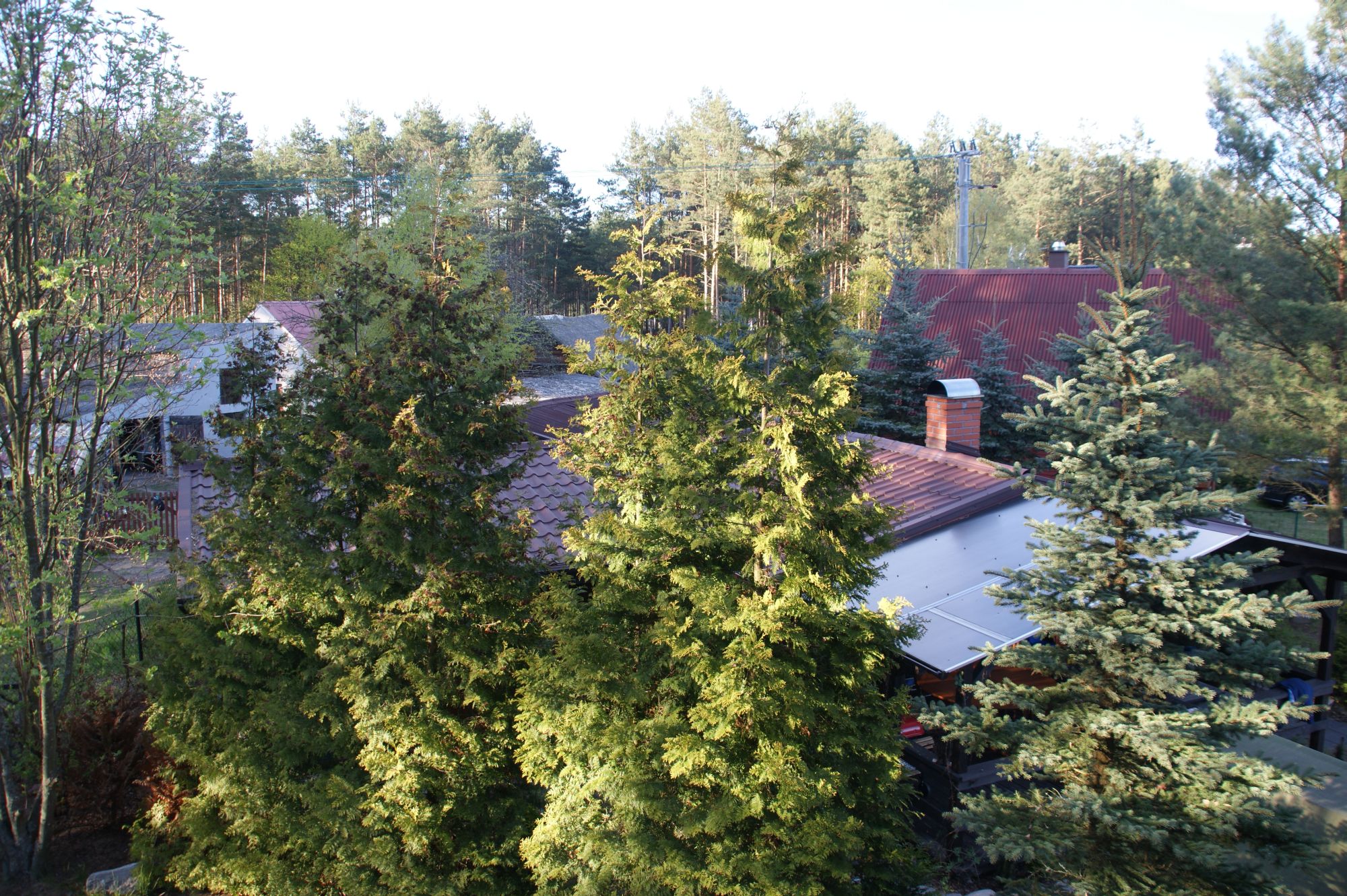 widok z jednego z okien